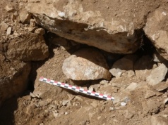 Starożytna czaszka pozostałością po brutalnym procederze. Jej odkrycie rzuca światło na wojny kantabryjskie