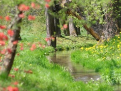 Prawo do zabudowy znika bez ostrzeżenia. Nie liczcie na odszkodowania