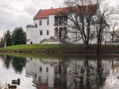 Zamek na wyspie