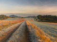 Naukowcy alarmują: tracimy więź z naturą. Sprawdzili dane od 1800 r.