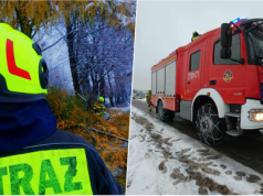 Uszkodzone drzewa i linie energetyczne – strażacy interweniują w regionie