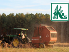 Rolnik ma firmę i nadal jest w KRUS? Sprawdź, kiedy to możliwe