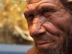 Zaglądając do nosa neandertalczyka. Nowe badania obalają starą teorię o twarzy naszych kuzynów