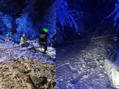 Podkarpacie: Śnieg łamie drzewa i zrywa linie. Strażacy i energetycy w akcji