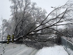 Sądecczyzna pod naporem śnieżycy. Blisko 70 interwencji strażaków i kolejne alerty pogodowe