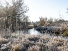 Zimny poranek w regionie. Szron i szadź stworzyły bajkowy krajobraz