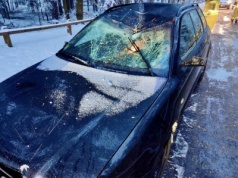 Drzewo pod ciężarem śniegu spadło na samochód osobowy