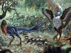 Czy dinozaury zachwycały barwami? Przełomowe badania wzbudzają emocje