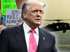 Niemcy biją na alarm. "Droga do Polski będzie otwarta"