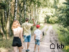 „Tata pewnie siedzi u tej Pani” – jedno zdanie, które zmieniło wszystko. Alienacja rodzicielska po polsku