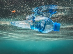 Do Biedronki wróciły paragony grozy. Znowu jest szokująco drogo