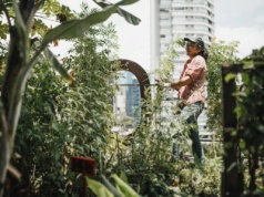 Warzywniak na dachu: czy urban farming uratuje planetę?