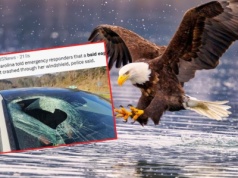 "Może mi pani nie uwierzyć". Nietypowe zgłoszenie na numer alarmowy