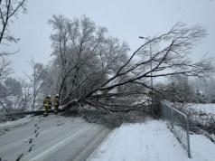Około setka interwencji związanych ze śniegiem w regionie sądeckim