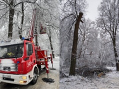 Powalone drzewa, zerwane linie i przerwy w dostawie prądu. To była trudna noc w regionie