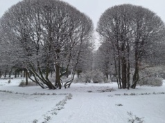 Biało w Piotrkowie! Pierwszy śnieg w tym sezonie