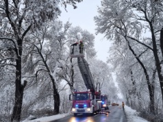 Połamane konary drzew i ewakuacja DPS-u – śnieg nie odpuszcza, lawina zgłoszeń