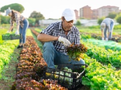 Systemowy wyzysk migrantów wciąż bez zmian