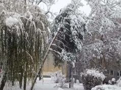Połamane drzewa, nadmiar śniegu. Mieszkańcy szukają pomocy