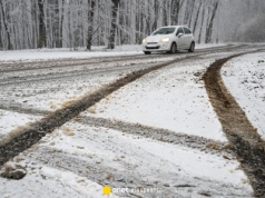 Niebezpieczna sytuacja na trasie w Bieszczadach. Kierowca uciekł w ostatniej chwili