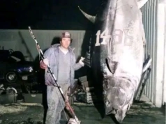 Złowił tuńczyka o wadze bliskiej 700 kg. Tego rekordu do dziś nie pobito