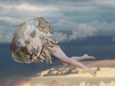 Galeria Kameralna zaprasza na wernisaż "Gabriela Bartosik. Żywioły"