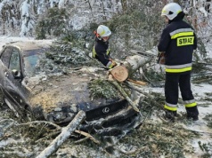 Atak zimy na Podkarpaciu. Blisko 3 tys. interwencji strażaków, drzewo spadło na samochód