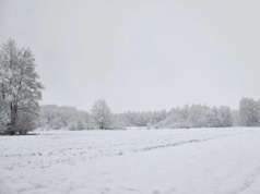 Pogoda na najbliższe dni: zima wraca na całego. Śnieg, gołoledź i duże wahania temperatur
