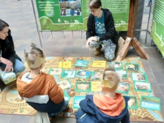 Ostatni w roku kiermasz „Żyjących Książek”. 5 tysięcy tomów znalazło nowych właścicieli