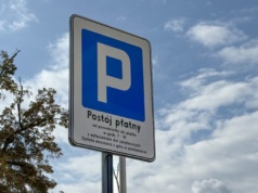 Abonament w Strefie Płatnego Parkowania. Sąd: kierowca auta służbowego też powinien mieć prawo do zniżki