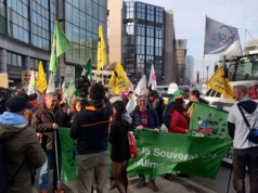 Rolnicy planują masowy protest przeciwko decyzjom Komisji Europejskiej. Gdzie i kiedy?