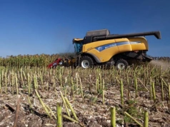 Jakie uprawy na Ukrainie są przez rolników uważane za najbardziej dochodowe?