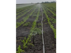 Czym Jest Linia Kroplująca i Jak Funkcjonuje?