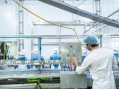 Nowe uprawnienia PIP i Straży Granicznej. Kontrole nawet w nocy i kary do 50 tys. zł