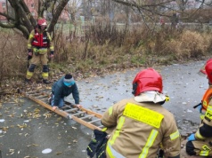 10-latek wszedł na zamarznięte oczko wodne w Olsztynie. Lód zaczął pękać