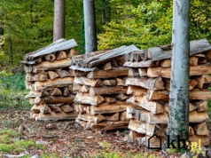 Ile opału potrzeba na zimę? Porównujemy pellet, ekogroszek i drewno