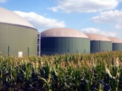 Spór na mazurskiej wsi. Nie chcą inwestycji uczestnika reality show