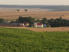 Sprzedaż i kupno działki siedliskowej: co powinien wiedzieć rolnik przed transakcją?