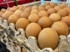 Brazylijskie i tajskie jaja podbiją Polskę? Przetwórnie kuszone niskimi cenami surowca