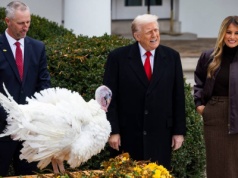 Trump uderzył w Bidena, ułaskawiając indyki. "Były w drodze do obróbki"