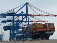 Kontenerowy boom w portowych terminalach. 2025 r. jeszcze lepszy niż 2024 r.