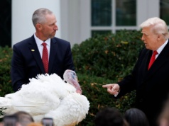 Tradycji stało się zadość. Trump ułaskawił dwa indyki