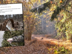 Leśnik pokazał, co znalazł w lesie. Ostrzega. "Niebezpieczeństwo dla spacerowiczów"