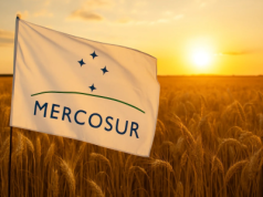 Umowa UE–Mercosur zwalnia. Wniosek „został wycofany”