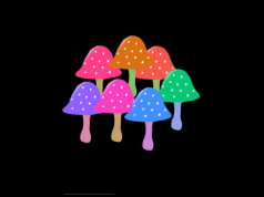 Halucynacje – zaburzenia postrzegania (objaw, nie choroba sama w sobie)