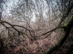 Nowy rezerwat przyrody nad morzem. Turystów obowiązują specjalne zasady