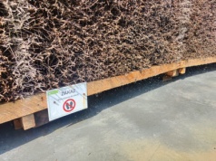 Umowa podpisana. Wybudują nową tężnię solankową