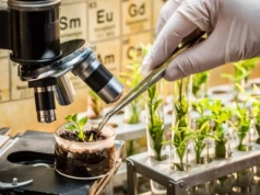 NGT w rolnictwie: apel europejskiego sektora rolno-spożywczego o szybkie decyzje UE