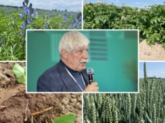 Układamy opłacalny i produkcyjny płodozmian. Jak łączyć wysokie plony z regeneracją gleby