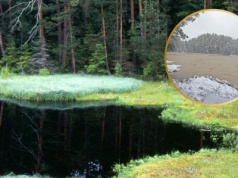 Polskie jezioro nagle zaczęło wyglądać jak hummus. "To nie fotomontaż"